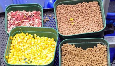 Nice :) - momelidepescuit7e714e3.jpg